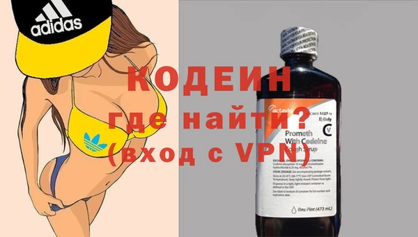 твердый Вяземский