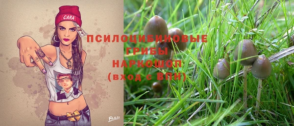 дмт Вязьма