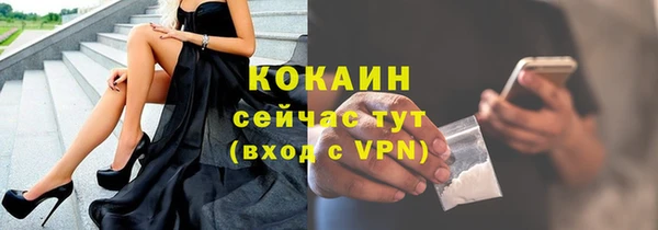 твердый Вяземский