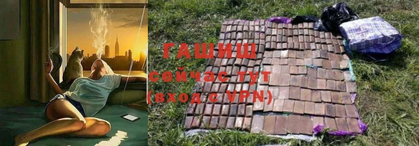 твердый Вяземский