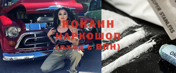 твердый Вяземский
