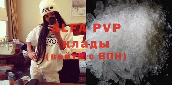 твердый Вяземский